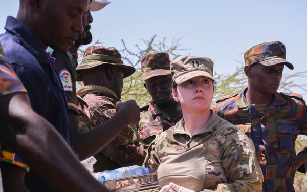 US, Kenya veterinarians treat local animals during Justified Accord