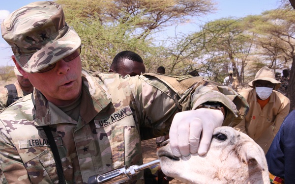 US, Kenya veterinarians treat local animals during Justified Accord