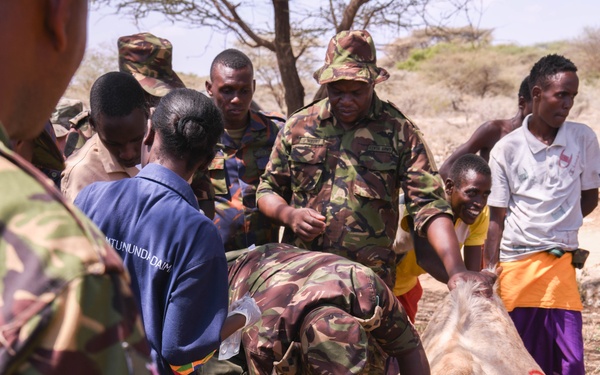 US, Kenya veterinarians treat local animals during Justified Accord