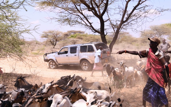 US, Kenya veterinarians treat local animals during Justified Accord