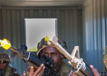 US, UK, Kenya, Somalia, Tanzania, distinguished visitors participate in Justified Accord