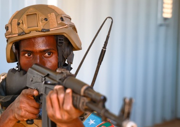 US, UK, Kenya, Somalia, Tanzania, distinguished visitors participate in Justified Accord