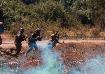 US, UK, Kenya, Somalia, Tanzania, distinguished visitors participate in Justified Accord