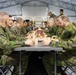 Exercise Joint Viking 25: NATO Command Leadership Visits U.S. Marines in Norway