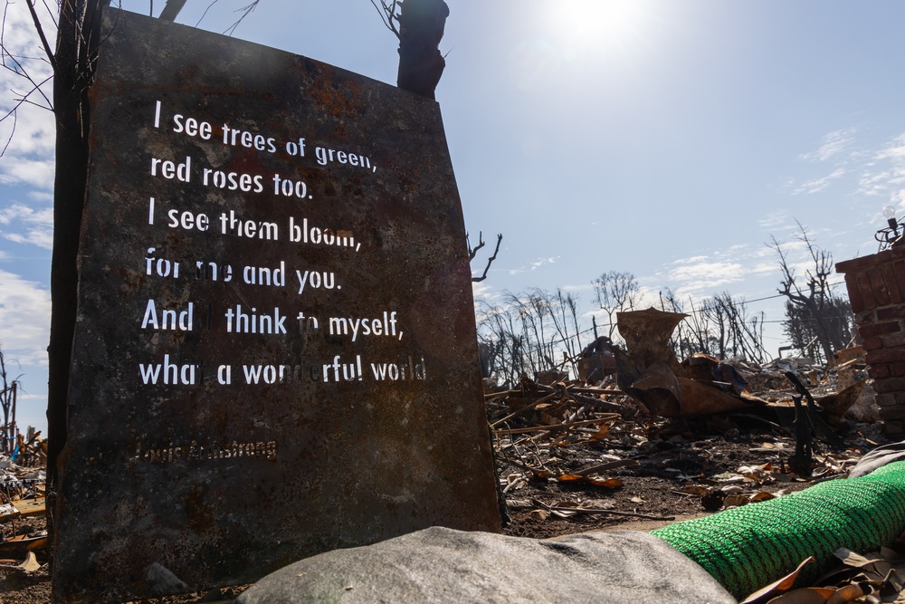 Resilience Amid the Ashes