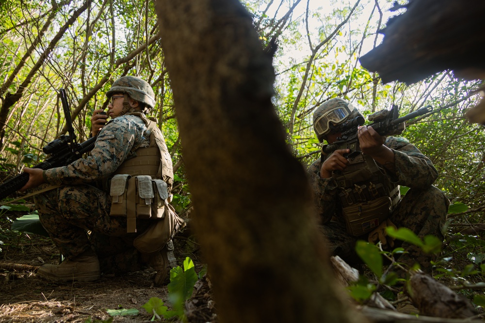 31st MEU| CLB 31 conducts Combat Service Support Area operations