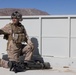 2/11 conducts Urban FEX during Adversary Force Exercise 1-25