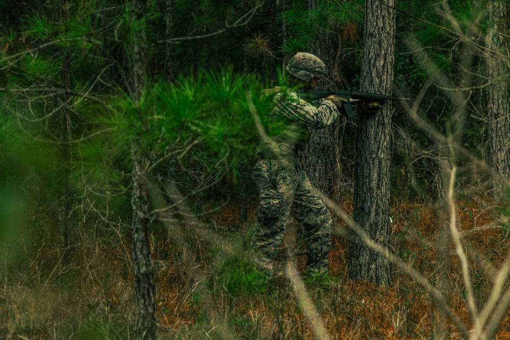 U.S. Marines Attending an EHIT Course Conduct Patrol Evaluations