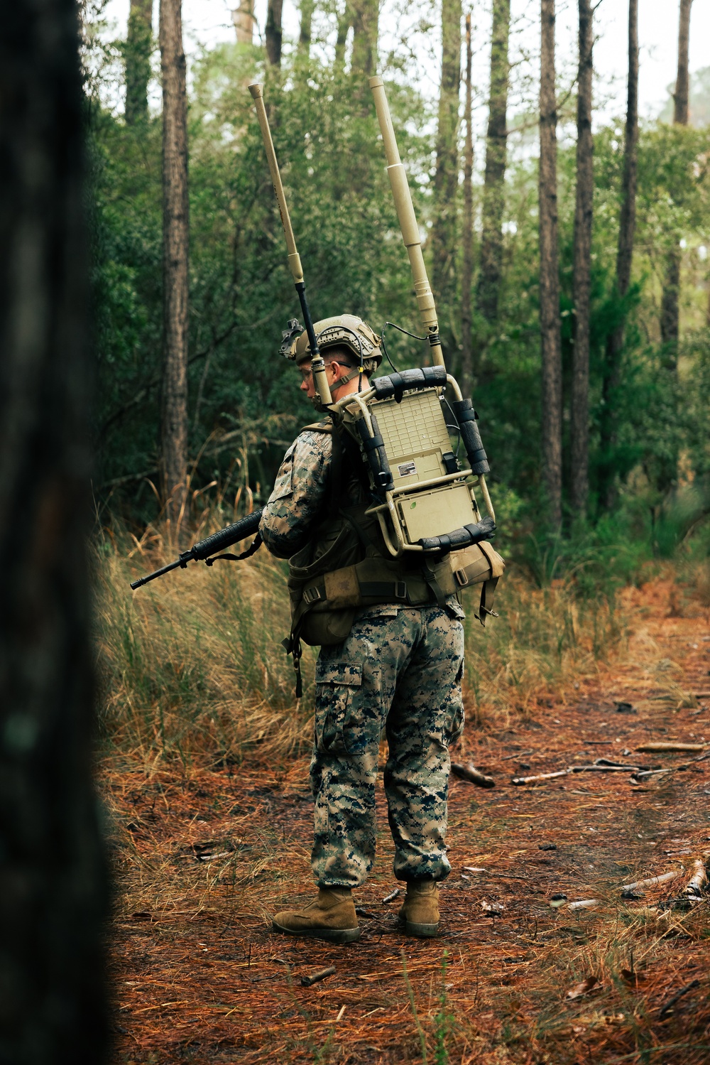 U.S. Marines Attending an EHIT Course Conduct Patrol Evaluations