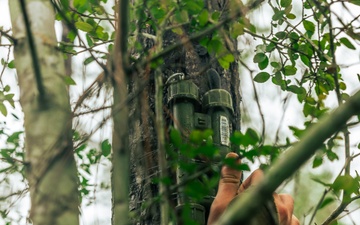 U.S. Marines Attending an EHIT Course Conduct Patrol Evaluations