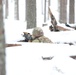 Virginia National Guard Soldiers conduct Field Training Exercise during Arctic Forge 25