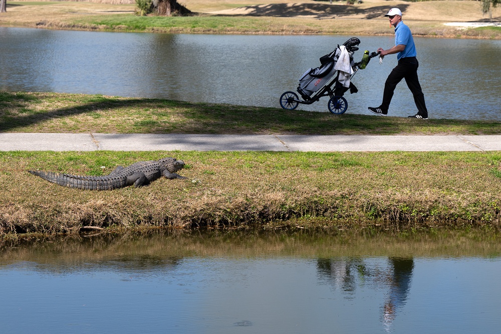 2025 Armed Forces Golf Championship