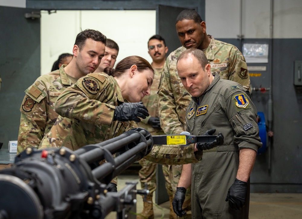 Wild Weasel Walk-through: Armament