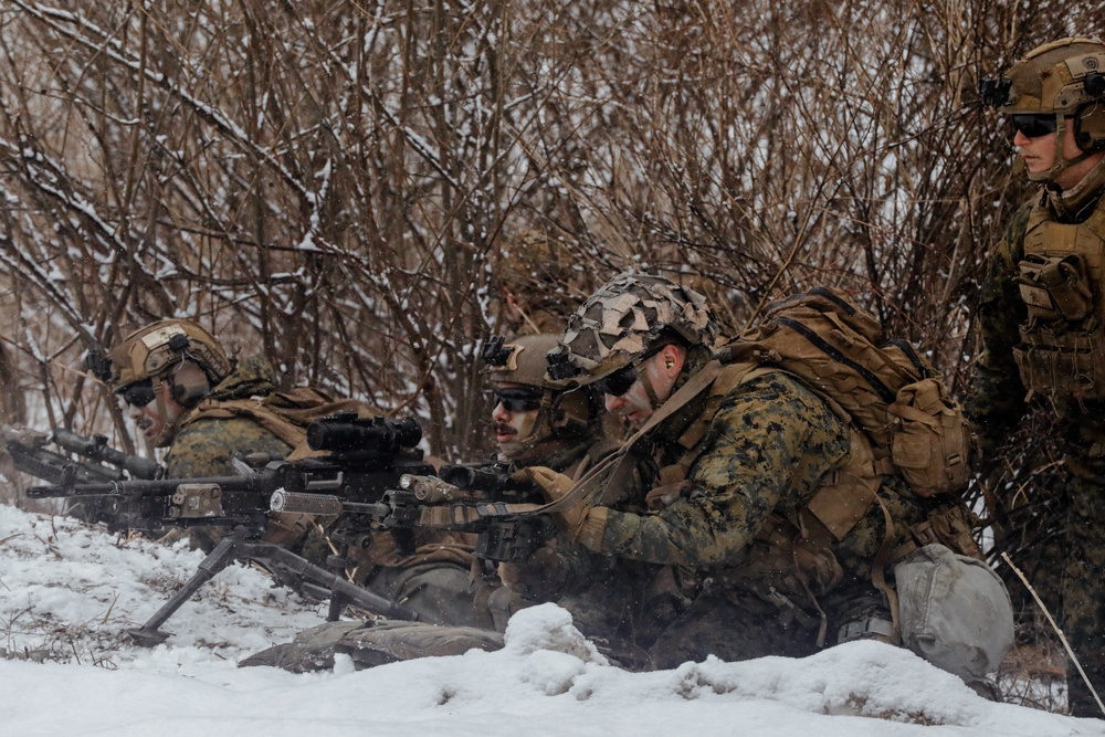 U.S. Army, Marines, and ROK army soldiers conduct training CALFEX at Rodriguez Live Fire Complex.