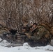 U.S. Army, Marines, and ROK army soldiers conduct training CALFEX at Rodriguez Live Fire Complex.