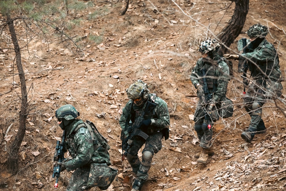 U.S. Army, Marines, and ROK army soldiers conduct training CALFEX at Rodriguez Live Fire Complex.