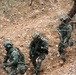 U.S. Army, Marines, and ROK army soldiers conduct training CALFEX at Rodriguez Live Fire Complex.