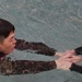 The 2nd Infantry Division hosted KMA cadets to prepare for the annual Sandhurst Military Skills Competition
