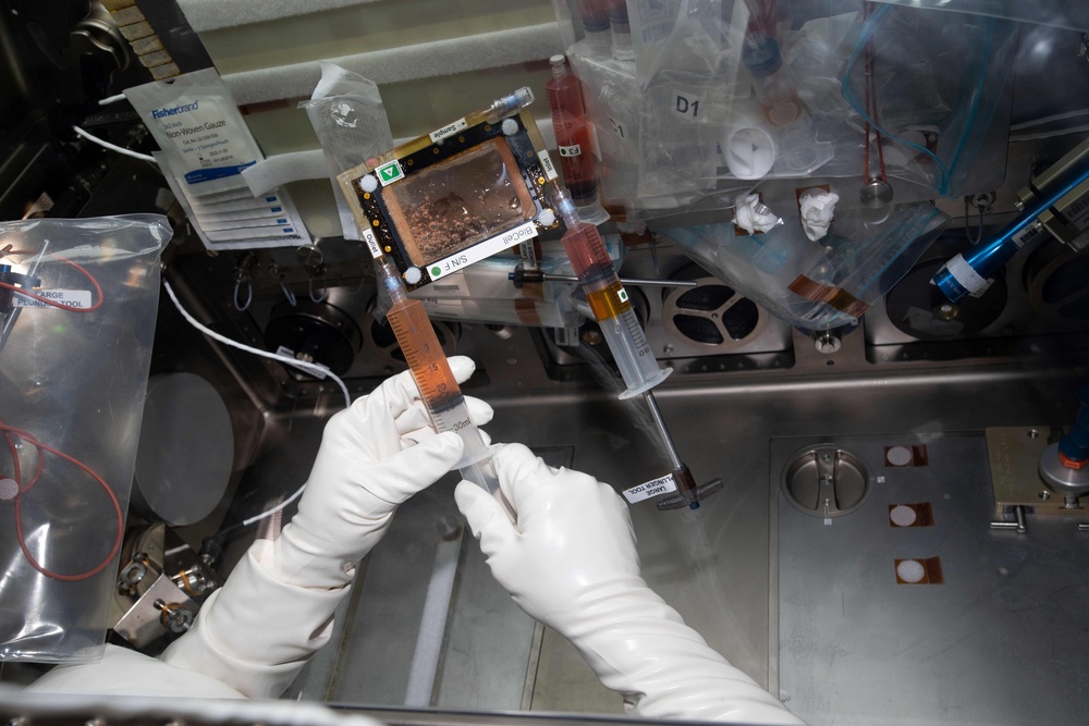 CDMRP-Funded Research May Soon be Flying in Space