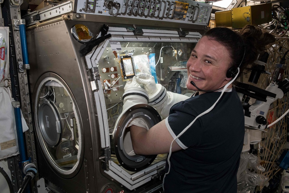 CDMRP-Funded Research May Soon be Flying in Space