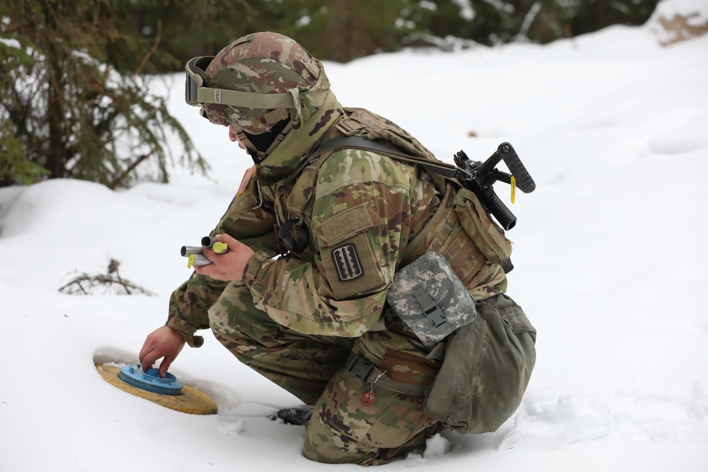 Virginia National Guard Soldiers conduct Field Training Exercise during Arctic Forge 25