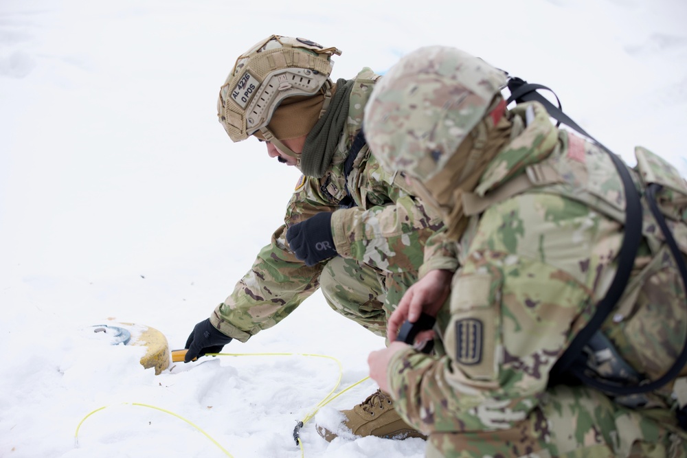 Virginia National Guard Engineers conduct mine detection and clearance training during Arctic Forge 25