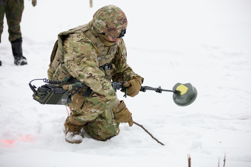 Virginia National Guard Engineers conduct mine detection and clearance training during Arctic Forge 25