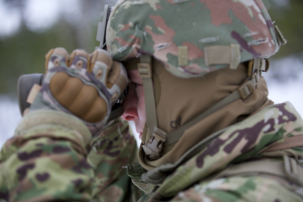 Virginia National Guard Engineers conduct mine detection and clearance training during Arctic Forge 25