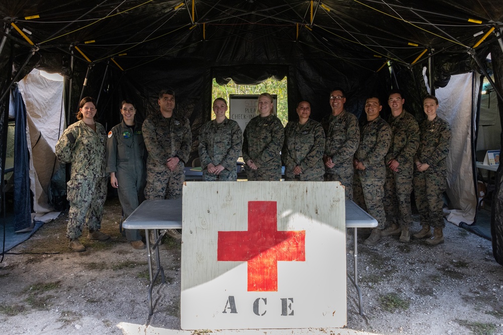 U.S. Marines and Sailors with II MEF engage in a medical and dental civil action program in The Bahamas