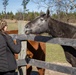 Alabama Guard partners with BondFire Ranch