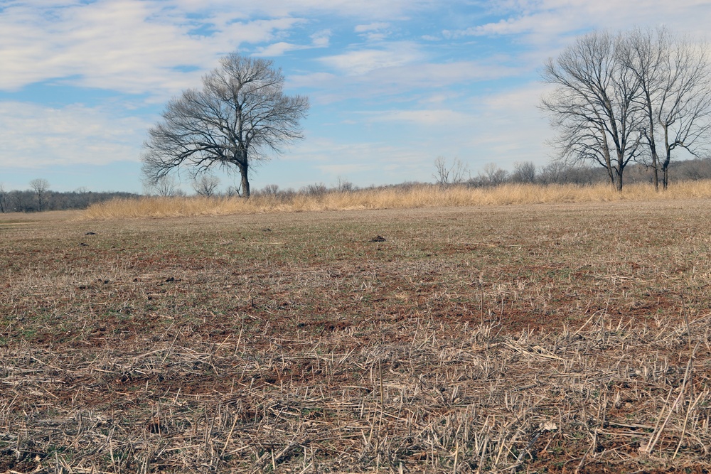 Pigs, plants and pesky mussels: A look at invasive species in Tulsa District