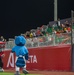 The 380th AEW Honor Guard presents the colors at a Baseball United game