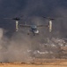 Iron Fist 25 | VMM-262 (Rein.) and JGSDF conduct Bilateral Insert