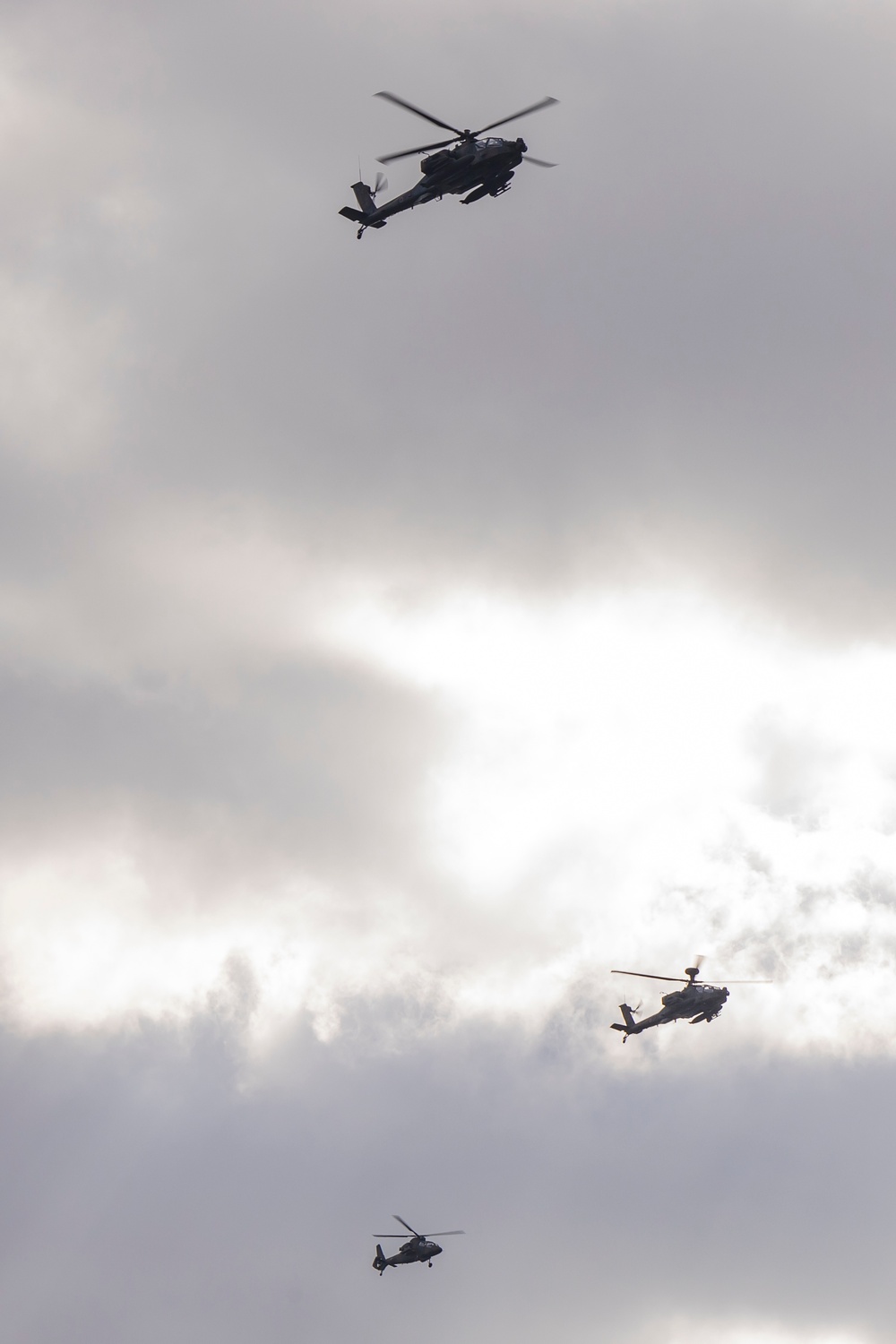 Iron Fist 25 | VMM-262 (Rein.) and JGSDF conduct Bilateral Insert