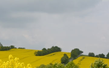 Hikers tread German countryside marathon by marathon