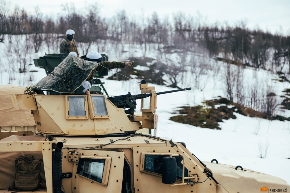 Exercise Joint Viking 25: Machine Gun Range