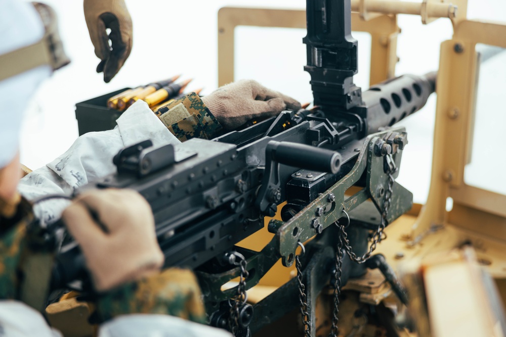 Exercise Joint Viking 25: Machine Gun Range
