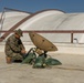 Operational Readiness in Hours: Marines Set Standards for Communication Excellence