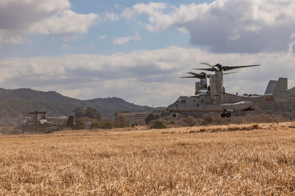 Iron Fist 25 | VMM-262 (Rein.) and JGSDF conduct Bilateral Insert