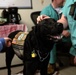BAMC facility dog visits medical residents
