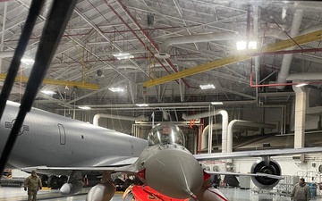 F-16 Flexibility