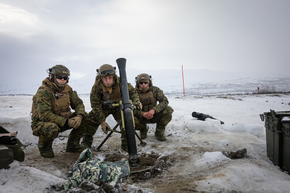 Exercise Joint Viking 25: Fire Support Coordination Exercise