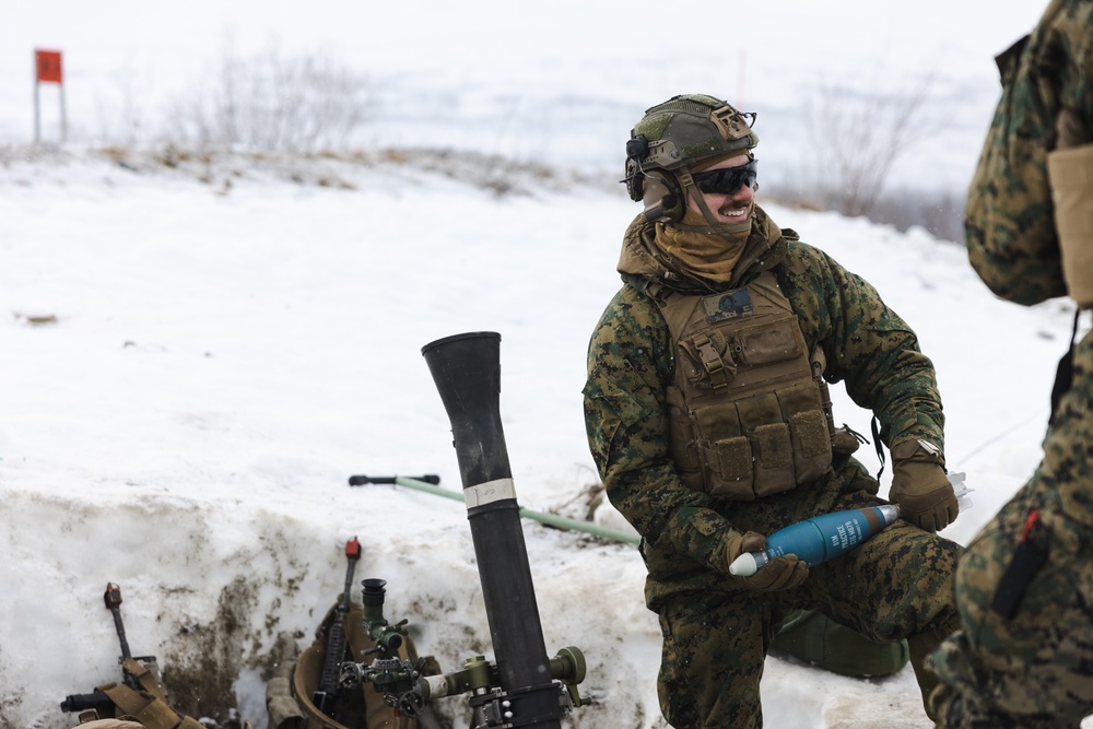 Exercise Joint Viking 25: Fire Support Coordination Exercise