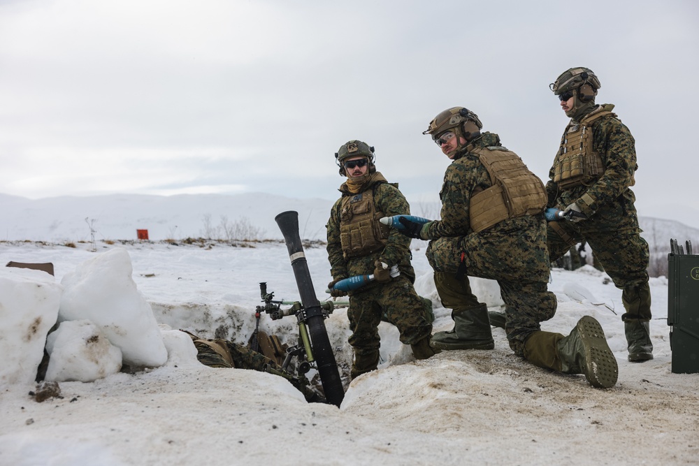 Exercise Joint Viking 25: Fire Support Coordination Exercise