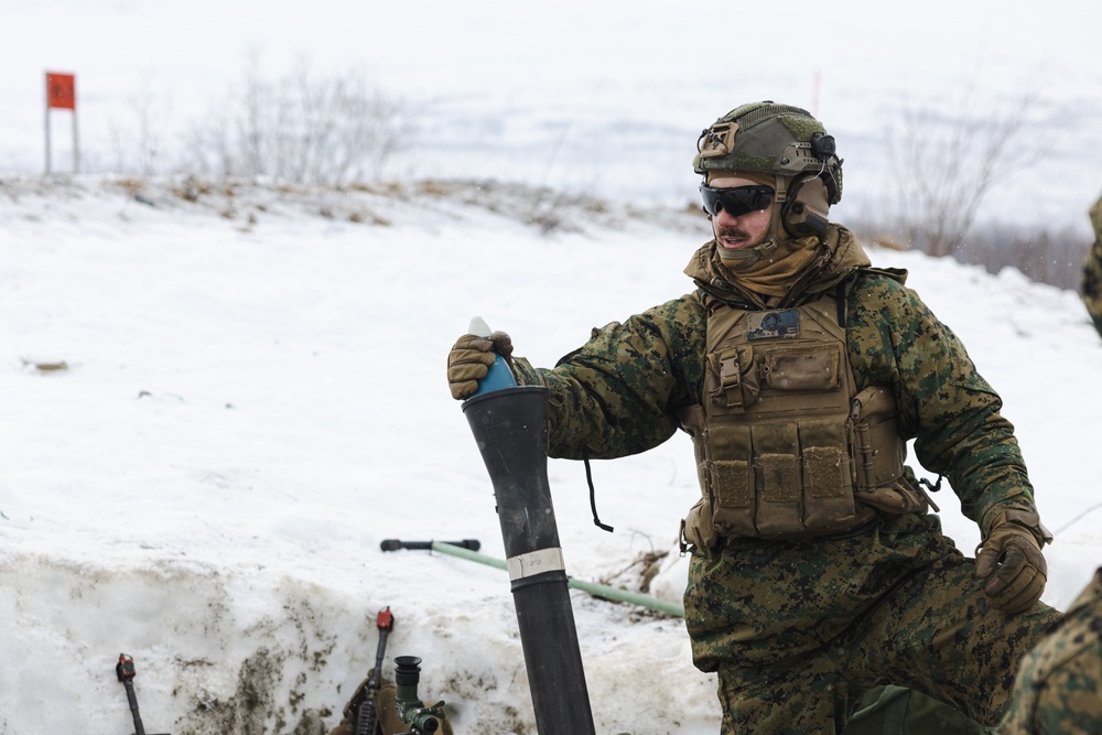 Exercise Joint Viking 25: Fire Support Coordination Exercise