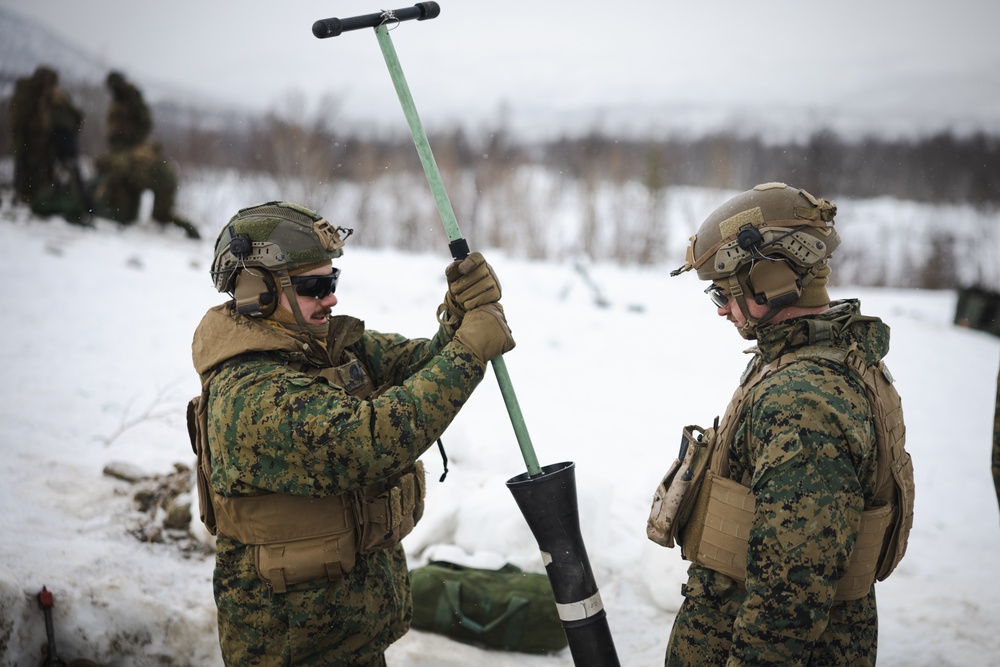 Exercise Joint Viking 25: Fire Support Coordination Exercise