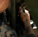 U.S. Marines with MWSS-272 construct an expeditionary landing zone in the Bahamas