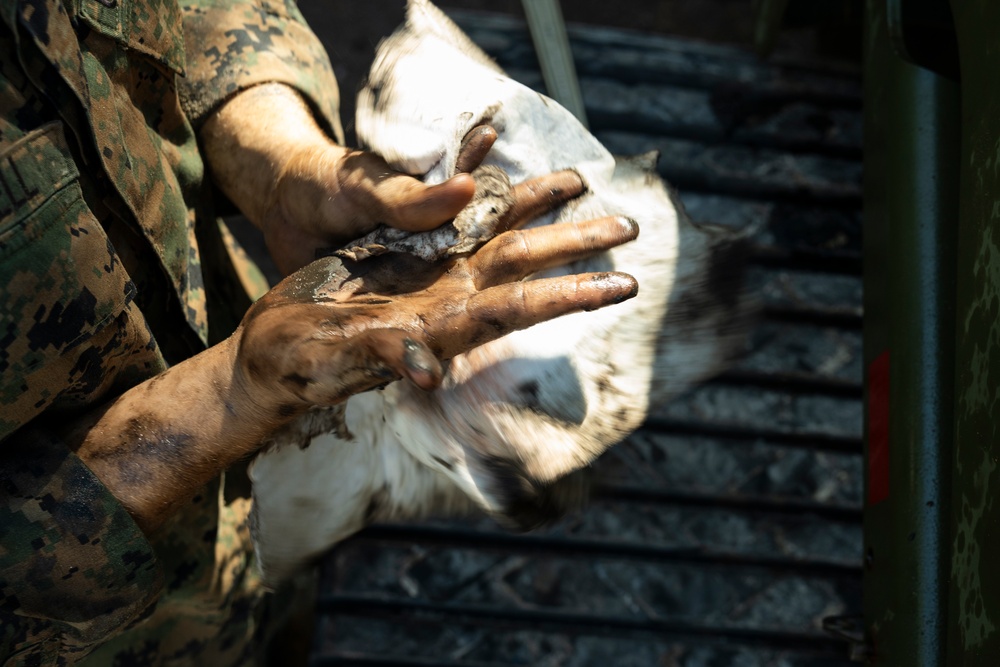 U.S. Marines with MWSS-272 construct an expeditionary landing zone in the Bahamas