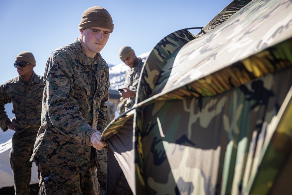 Marines with V1/6 conduct PET Classes during MTX 2-25