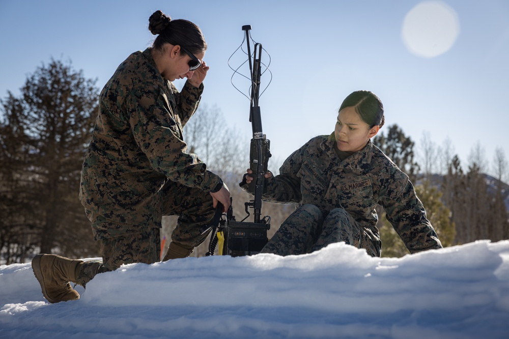 Marines with V1/6 conduct conditioning hike during MTX 2-25